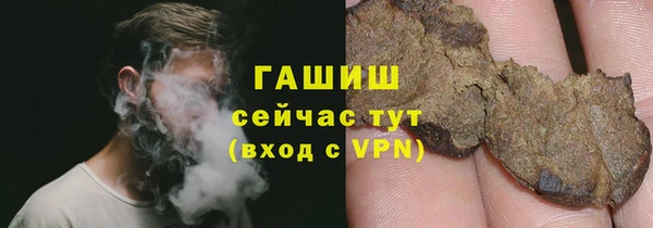 хмурый Няндома