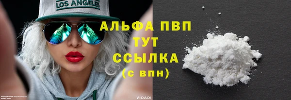 хмурый Няндома